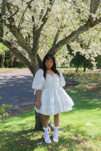 Sissy Blue Rose Carriage Cotton Dress