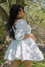 Sissy Blue Rose Carriage Cotton Dress