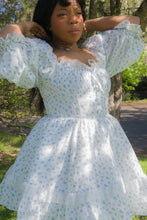 Sissy Blue Rose Carriage Cotton Dress