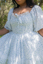 Sissy Blue Rose Carriage Cotton Dress