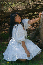 Sissy Blue Rose Carriage Cotton Dress