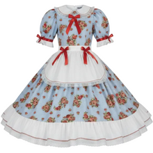 Claytsa Custom Fit Royal Stripes Red Roses Adult Sissy Maxi Dress Gown by Leanne's