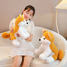 Akita Dog Plushies - 2 Sizes