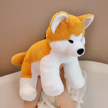 Akita Dog Plushies - 2 Sizes