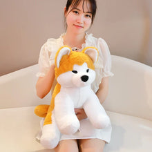 Akita Dog Plushies - 2 Sizes