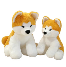 Akita Dog Plushies - 2 Sizes