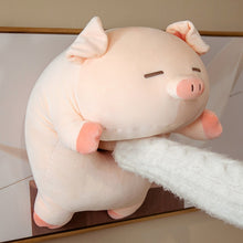 Squishy Pink Pig Plushies