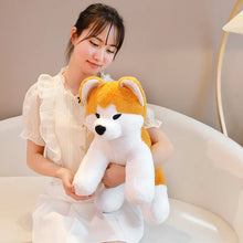 Akita Dog Plushies - 2 Sizes