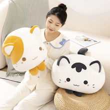 Squishy Kitty Plushies - 2 Colors