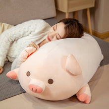 Squishy Pink Pig Plushies