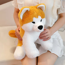 Akita Dog Plushies - 2 Sizes