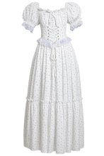 Blue Rose Sissy Princess Lolita Gown