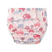5Pcs Adorable Adult ABDL Cloth Diapers - 6 Color Sets