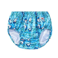 Lil’ Splashies Adult Waterproof ABDL Swim Diapers - 24 Colors